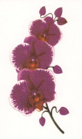  Временная татуировка Орхидея 34723