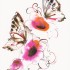 Временная татуировка Цветы и бабочки 34429