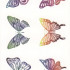  Временная татуировка Бабочки 34733