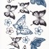 Временная татуировка Бабочки 34354