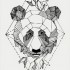 Временная татуировка Цветок Медведь 33858