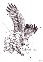 Временная татуировка  Орёл 33763