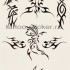 Временная татуировка Орнамент Бабочки 33674