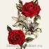 Временная татуировка Две розы 33776