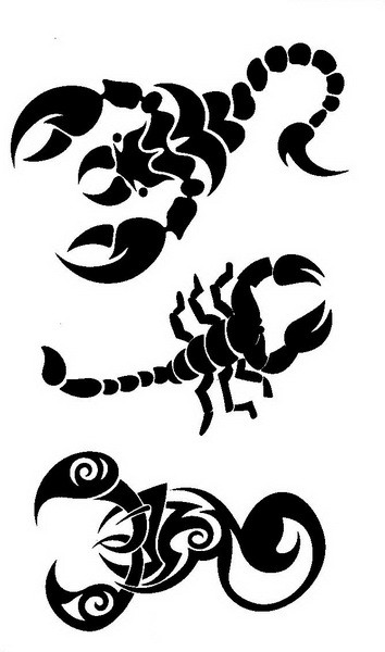  Временная татуировка Скорпионы 34677