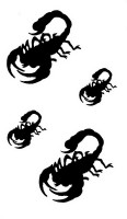  Временная татуировка Скорпионы 34678