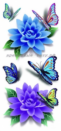 Временная татуировка 3d Цветы и бабочки 33579