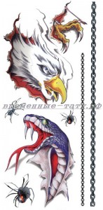 Временная татуировка 3d Орёл и змея 33581
